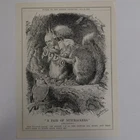 1910 full page punch cartoon A PAIR OF NUTCRACKERS ireland home rule