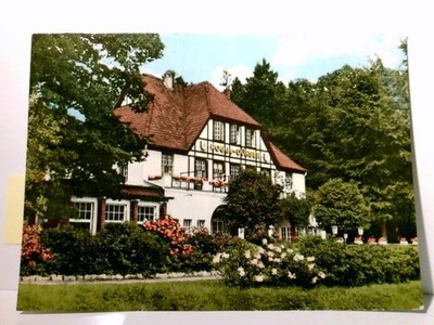 Dünsen. Hotel Waldfrieden. Bes. M. Rogge. Alte Ansichtskarte / Postkarte farbig,