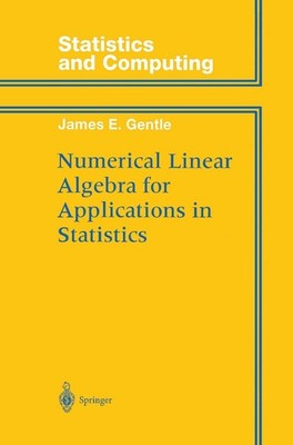 Numerical Linear Algebra for Applications in Statistics (Statistics and Comp...