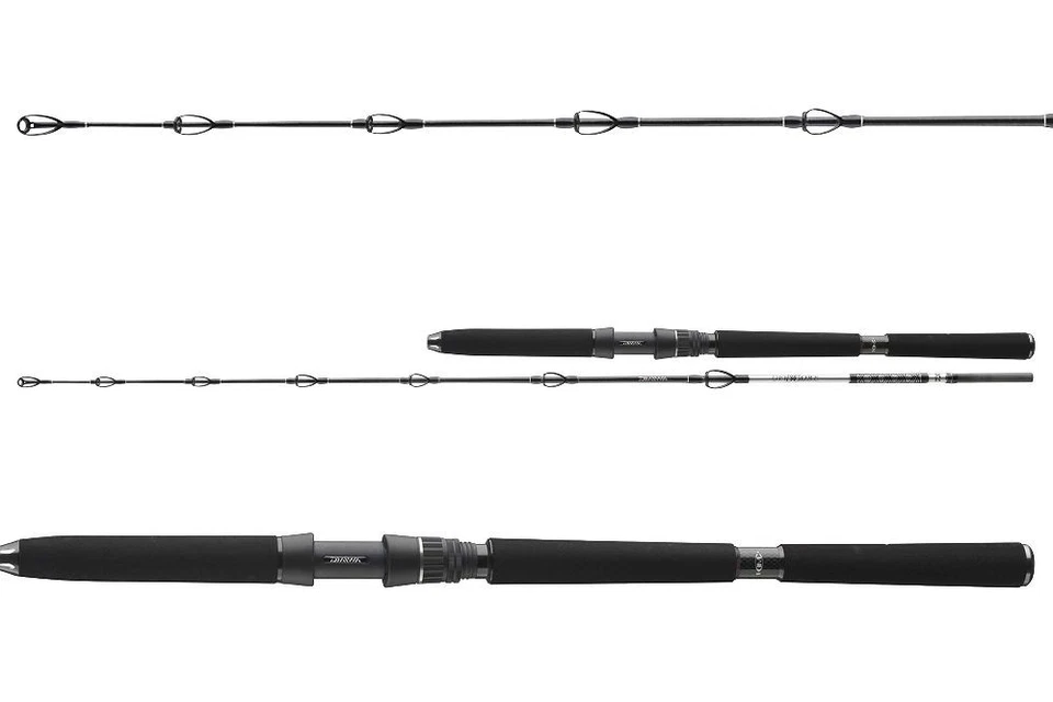DAIWA BG DEEP SEA Bootsrute Tiefseerute Heilbuttrute Naturköderrute 175cm-220cm - Bild 1 von 4