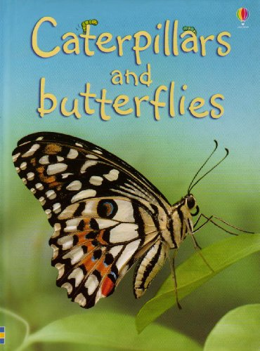 Caterpillars and Butterflies (Beginners) - Stephanie Turnbull