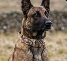 Heavy Duty Tactical Dog Collar,HeavyDuty, Adjustable Quick-Release Buckle Padded