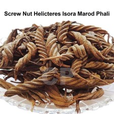 Helicteres Isora Marod Phali Jonkphal Whole Screw Nut 500g 17.63 OZ .