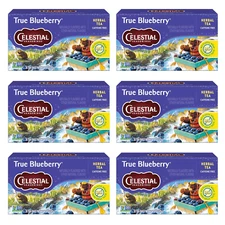 True Blueberry Herbal Tea, Caffeine Free, 20 Tea Bags Box (Pack of 6)