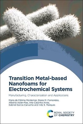 Transition Metal-based Nanofoams for Electrochemical Systems - 9781837675081