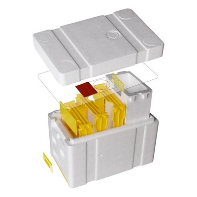 Mini Mating Nuc Box Queen Breeding Box Beekeeping Equipment Foam Queen Rearing H