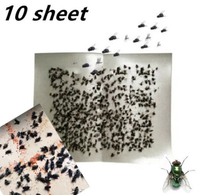 10 X Flying Insect Catcher Fly Killer Flies Mosquito Bug Wasp Trap Tape Strip
