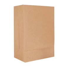 60 Count Large Brown Paper Bags, Paper Grocery Bags for Storage, Shopping
