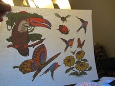 BIRDS  BUTTERFLIES  full size iron on t shirt transfer vintage 70s item NOS