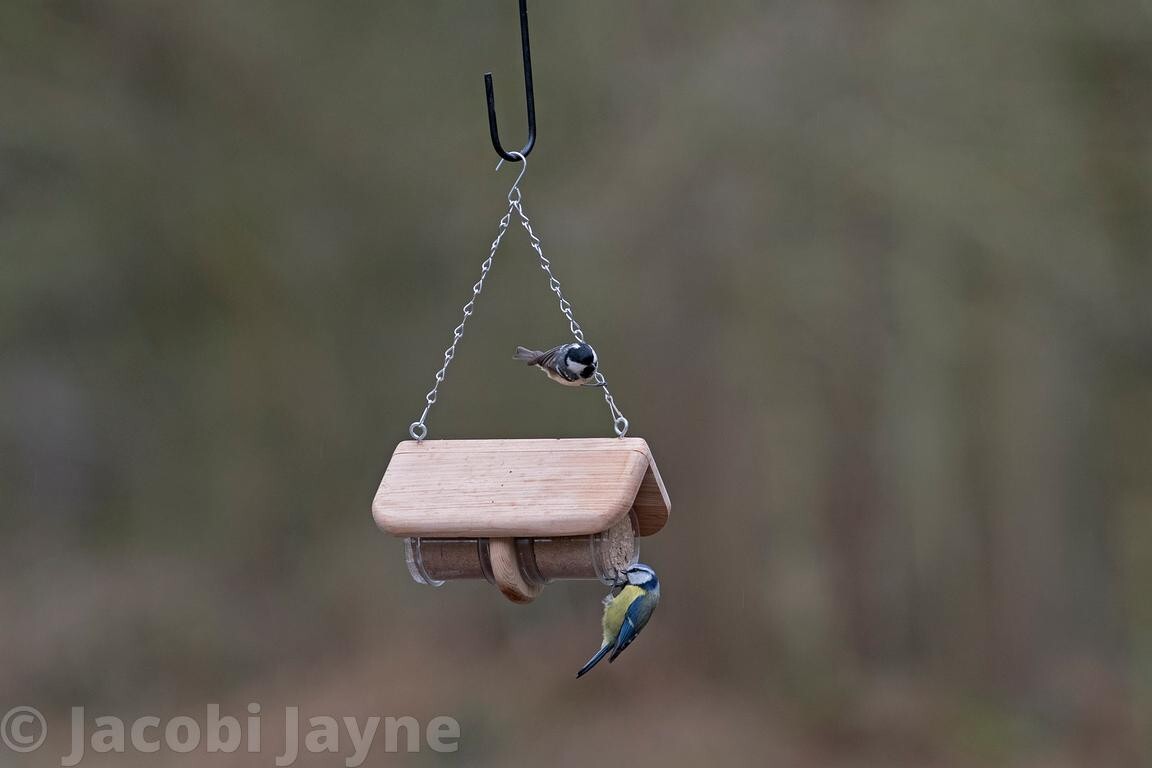 Bild 14 von 14