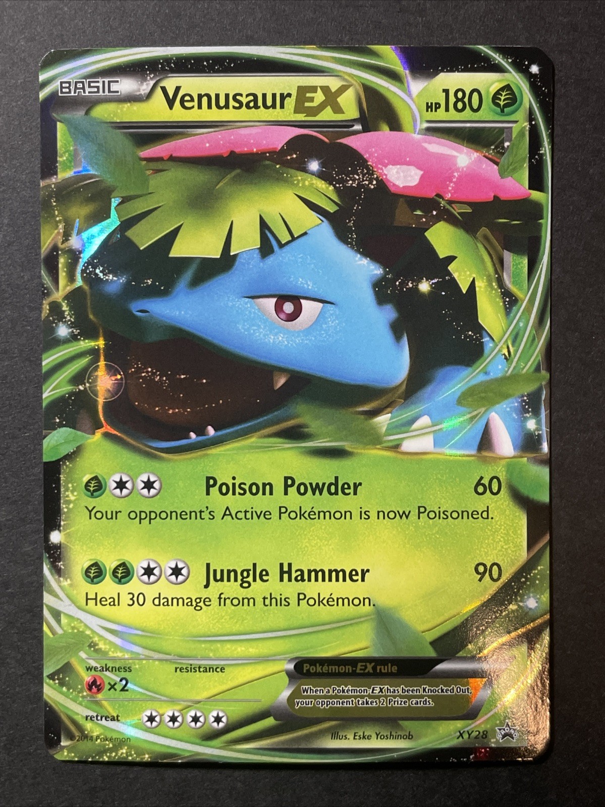 Venusaur XY28 Pokemon Card Black Star Promo 2014 NM