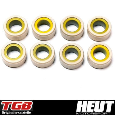 Variomatikrollen 17 G TGB Blade Target 425 500 525 550  Variomatikgewichte