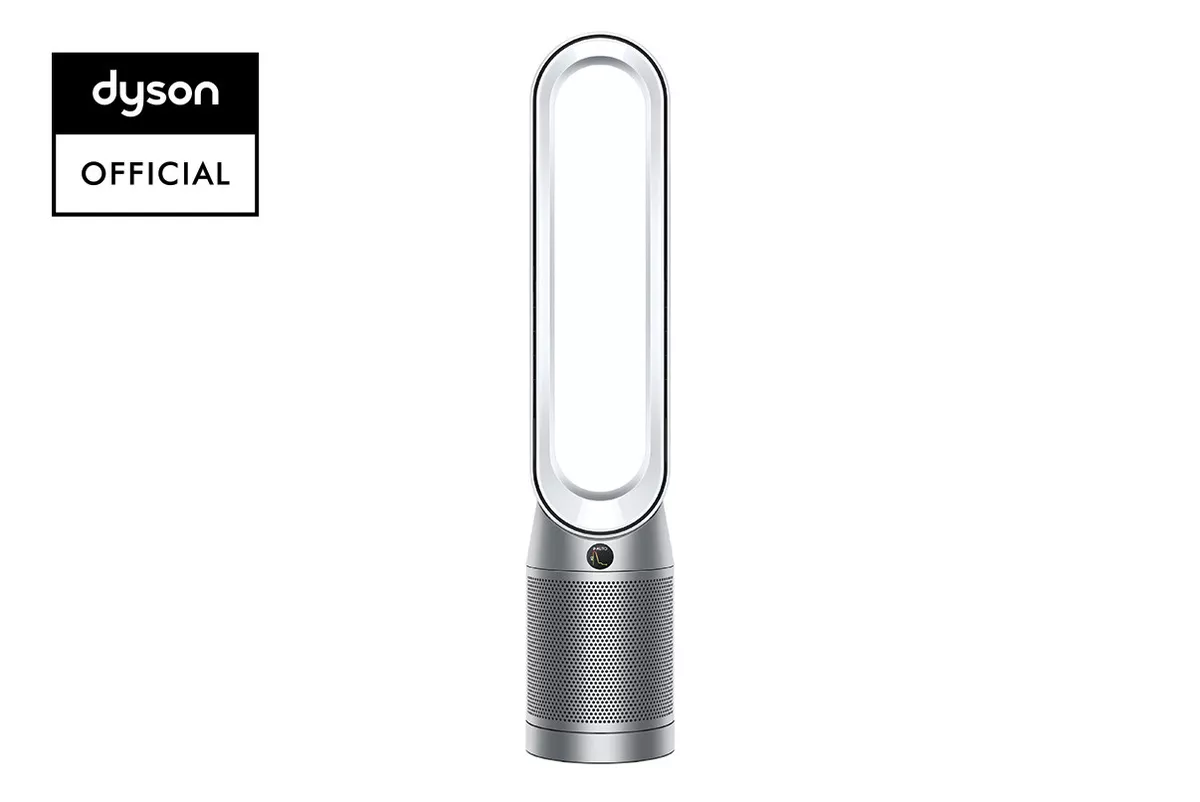 Dyson fan ebay online