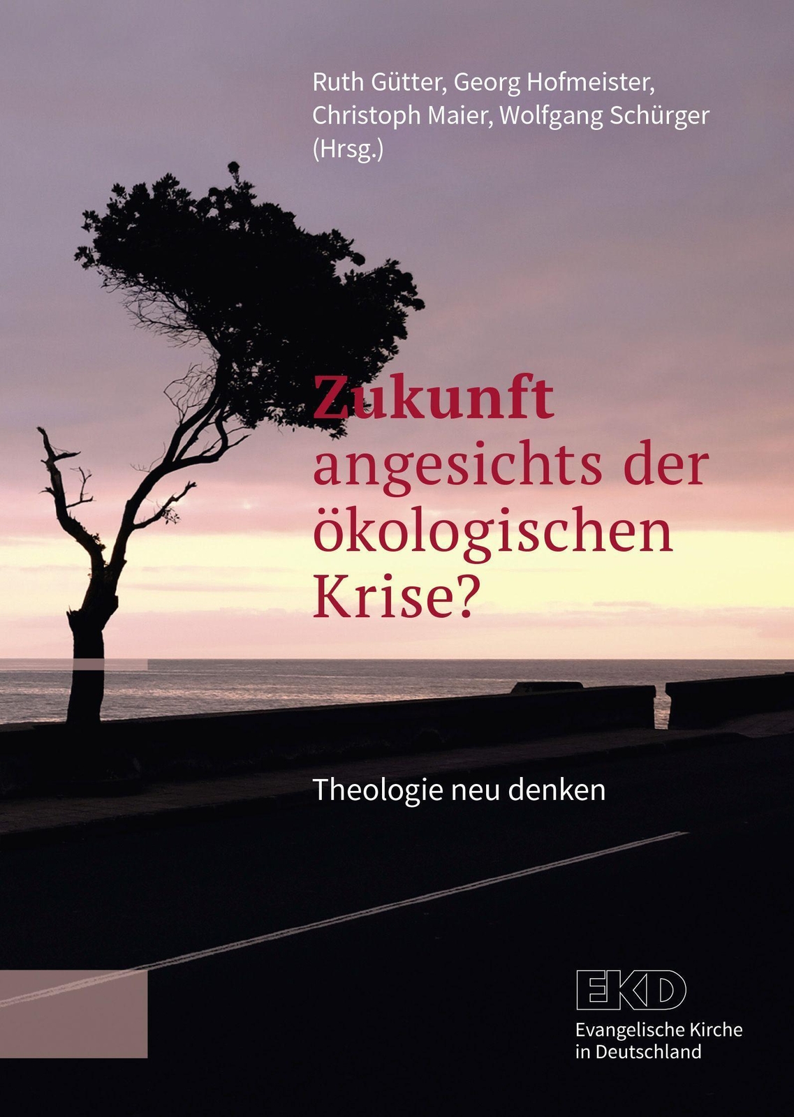 Thumbnail - Zukunft Angesichts Der Ökologischen Krise? Theologie Neu Denken Gütter
