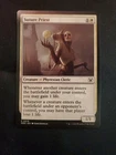 Suture Priest Commander: March of the Machine Regular Magic The Gathering MTG