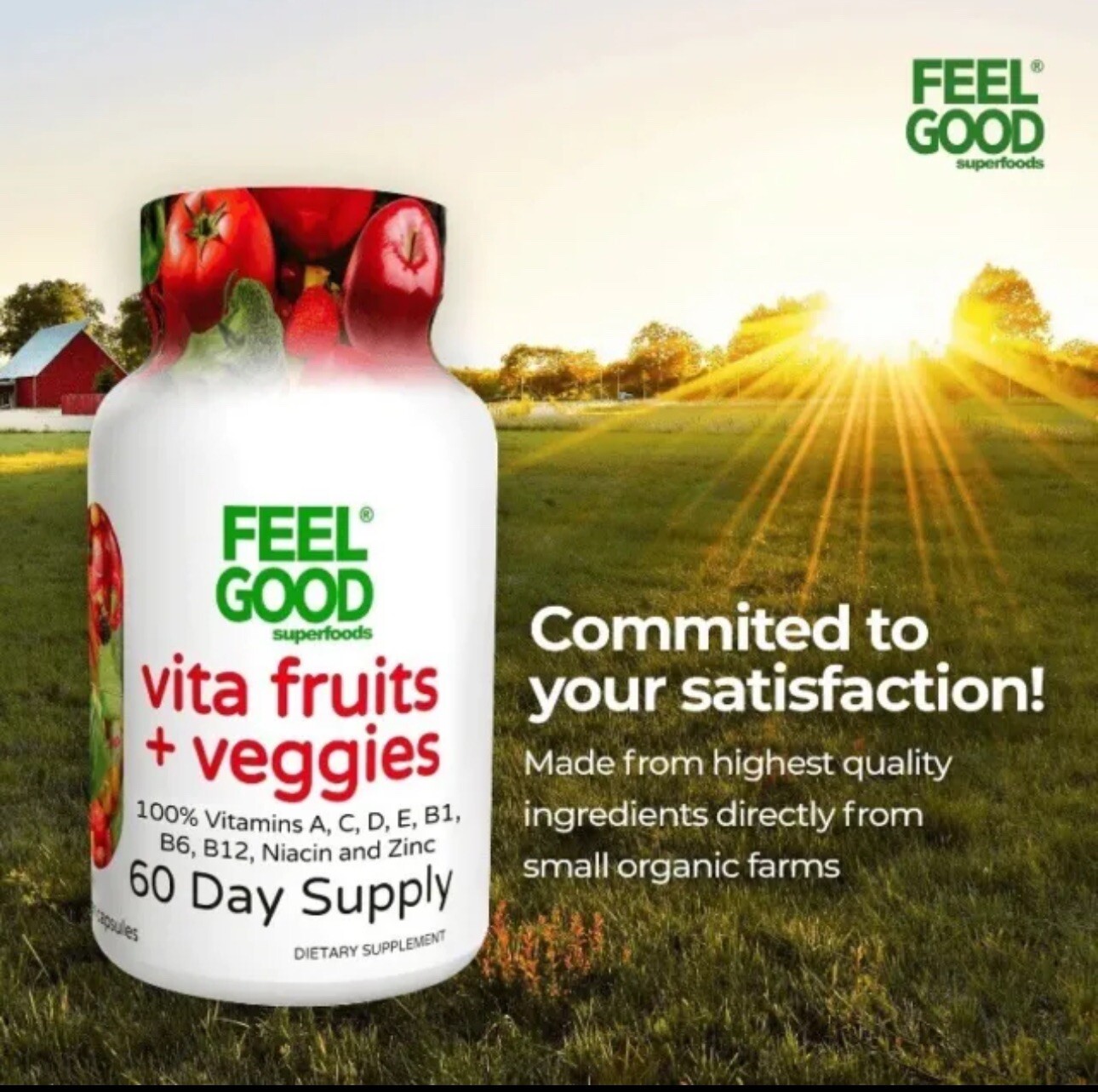 Vita Fruits and Veggies Feel Good Superfoods 120 Day Supply Organic A C