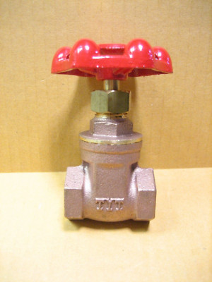 Riegler 1/2 in. Brass Gate Valve  (New)