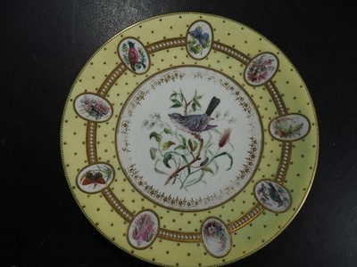 Antiker Worcester Porzellan Teller handbemalt Vögel, Schmetterling, floral (Lot I)