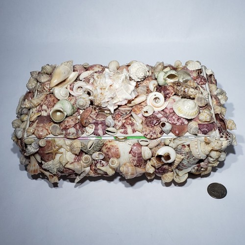 Sea Shell Seashell Covered Decorative Handmade Hinged 11x8x5 Box Trinket Jewelry - Picture 1 of 10