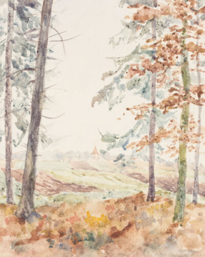 G. SAUER (20° secolo), pezzo di bosco presso il villaggio di Tiefenbach, 1945, acquerello romantico - Foto 1 di 4