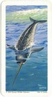 Bild 68 von 91