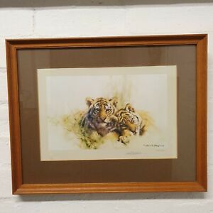 shepherd tigers signed limited colour david edition