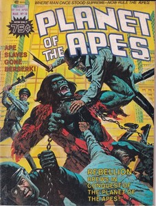 1976 PLANET OF THE APES Mag #18 Alfredo Alcala / Rites of Bondage Reduced Price