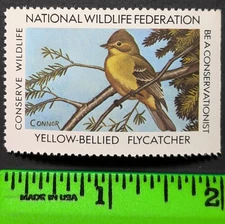 Yellow Bellied Flycatcher National Wildlife Federation Poster Stamp