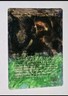 Varolz, the Scar-Striped x1 NM Magic the Gathering 1x Dragon's Maze ALTERED 