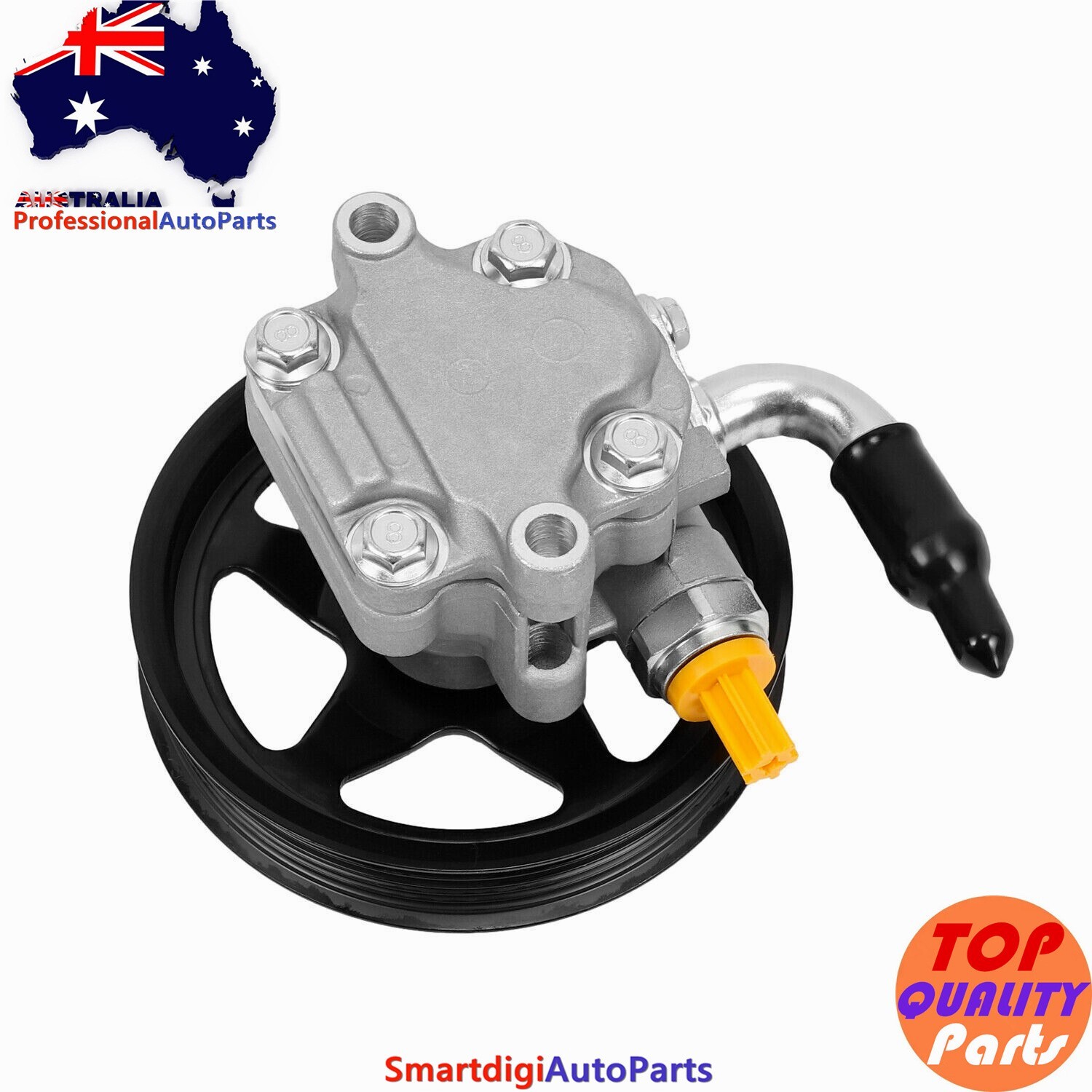 Power Steering Pump & Pulley For Holden Commodore 6.0L V6 V8 VE VZ L98 ...