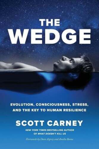 The Wedge Carney, Scott Buch - Bild 1 von 1
