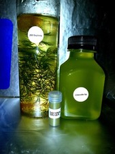 Daphnia+Moina mix Culture Starter Kit. Daphni...