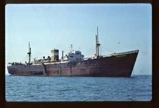 1 Original Ship Slide 1953 built cargo ship GREENLEAF February 1983