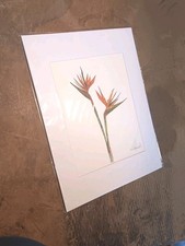 Original Coastal Art Work T.J. Heiser Bird Of Paradise Flower Drawing
