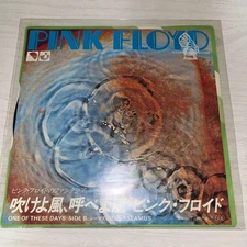 Pink Floyd Blow The Wind Call Storm 7" Vinyl 1977 EMR-20388 Used