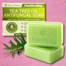 Antifungal Antibacterial Tea Tree Soap: Antifungal Antibacterial Treat