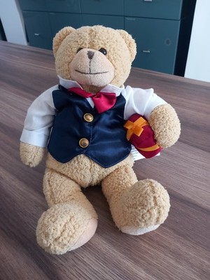 N9311 Teddy Bear Reeko Design Carstensen Germany Figurine Limited Edition