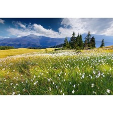 8x6ft Summer Landscape Backdrop Flower Mountain Photo Background Vinyl