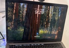 OEM MacBook PRO A2159/A1989/A2251/A2259 Screen 13  2020 Space Gray LCD