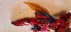 Bild 4 von 9