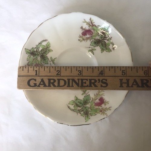 Vintage Tea Cup & Saucer Royal Chelsea MOSS ROSE England - Picture 8 of 12
