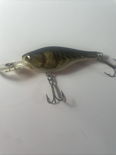 Rapala Ireland Crank Bait Barsch 2 1/2" Taucherköder Döbel - Bild 7 von 8