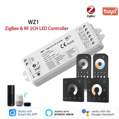 ZigBee Tuya WZ1 2CH*5A Wireless RF Dimmer einfarbig CCT LED Streifen Controller