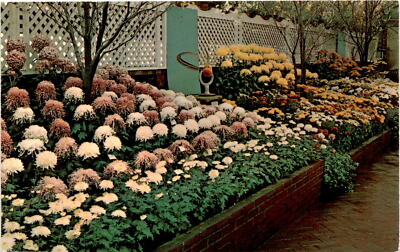 Phipps Conservatory, Pittsburgh, Autumn Border Garden, Oriental Postcard