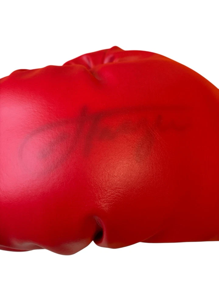 Joe Frazier Signed/Autographed Left Red Everlast Boxing Glove COA STEINER SPORT - Image 4 of 4