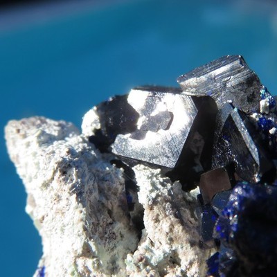 Mineralien Kristalle Von Azurit Auf Matrix Sonora, Mexiko
