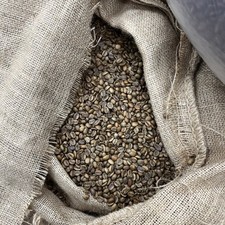 5 - LB PERU DECAF GREEN COFFEE WHOLE BEAN - ARABICA