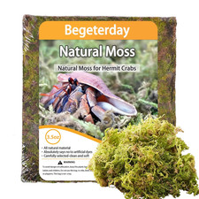 3.5oz Premium Natural Hermit Crab Moss High-Yield Hermit Crab Moss Substrate
