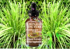 1fl oz LEMONGRASS Tincture (Cymbopogon citratus) 2x Extract Herbal Supplement