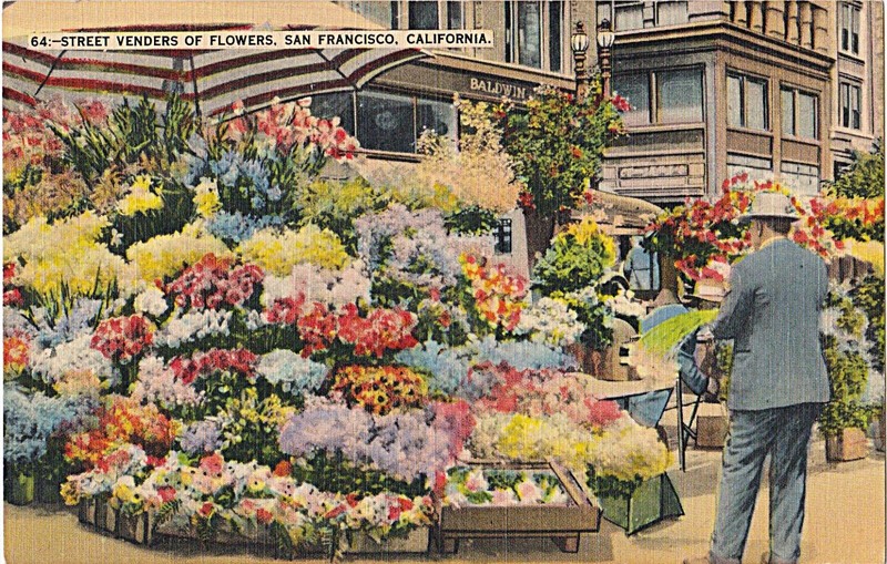 Vintage 1930'S San Francisco California Linen Post Card "Flower Vender"